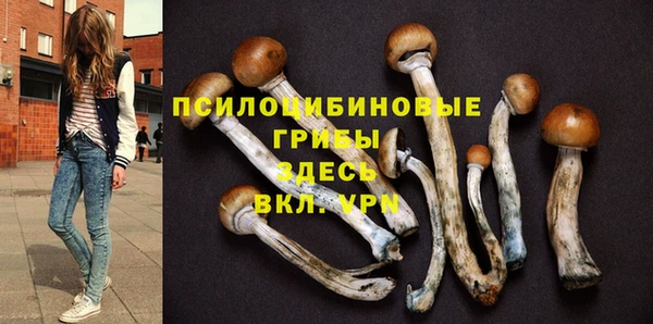 экстази Алексеевка