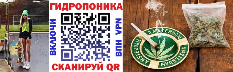 Конопля семена  даркнет сайт  Покачи 